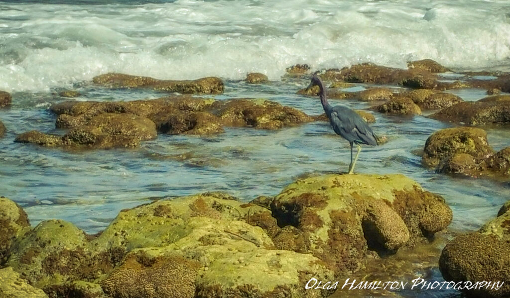 Bathtub Beach, Stuart, Martin County, Florida