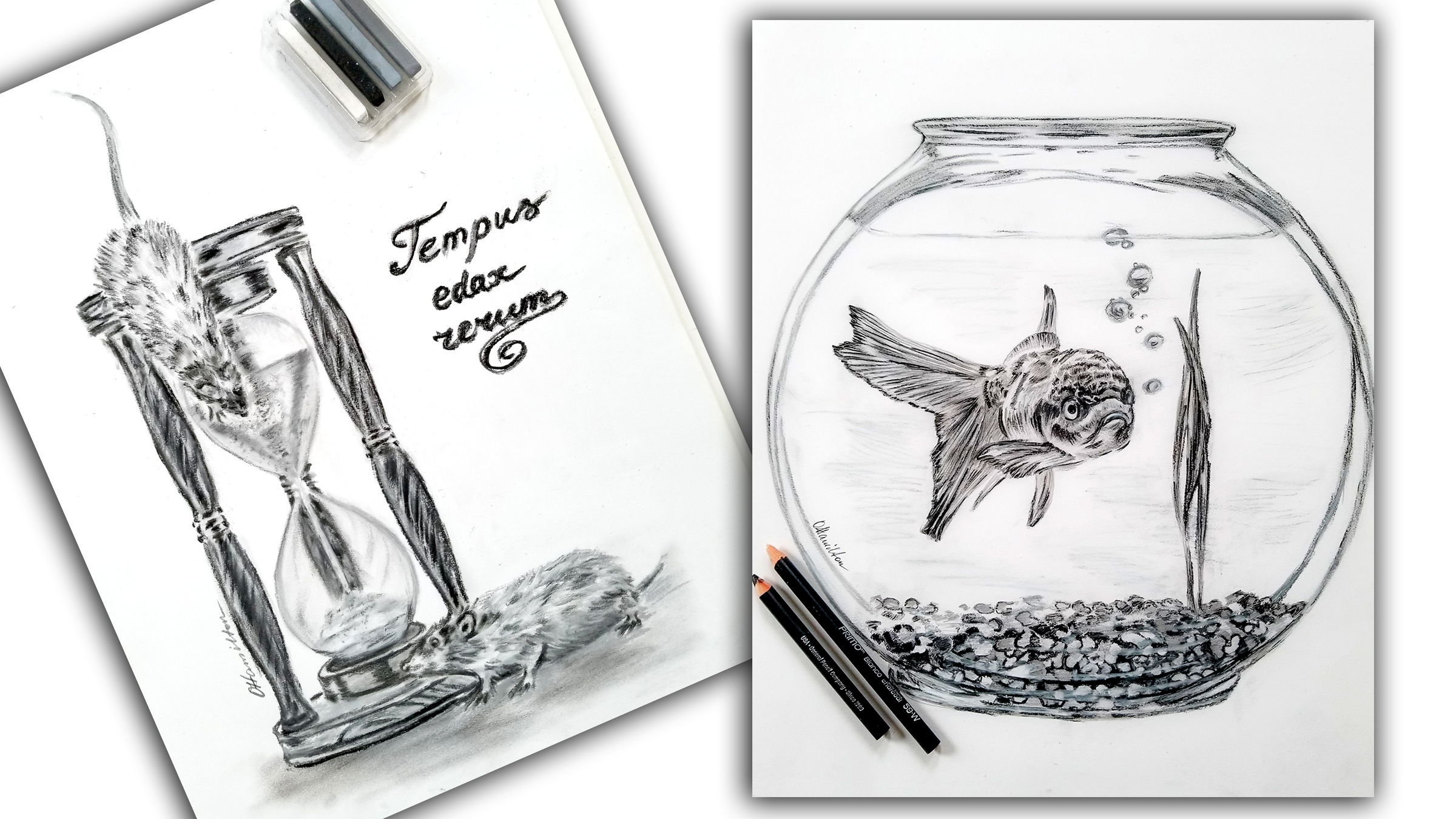 Olga Hamilton Fine Art for sale, Stuart, Martin County, Florida., MartinArts.