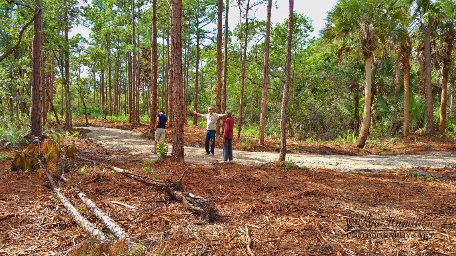 Delaplane Preserve Park in Stuart, Florida